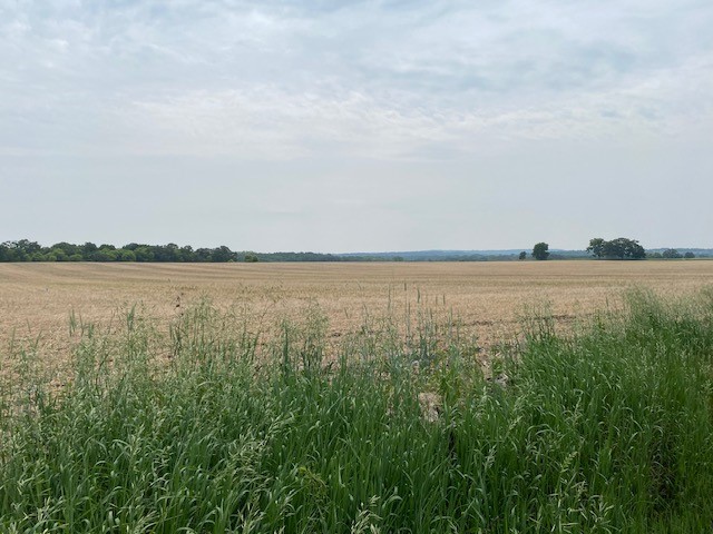 St. Marie AEA Farm Field in Green Lake County